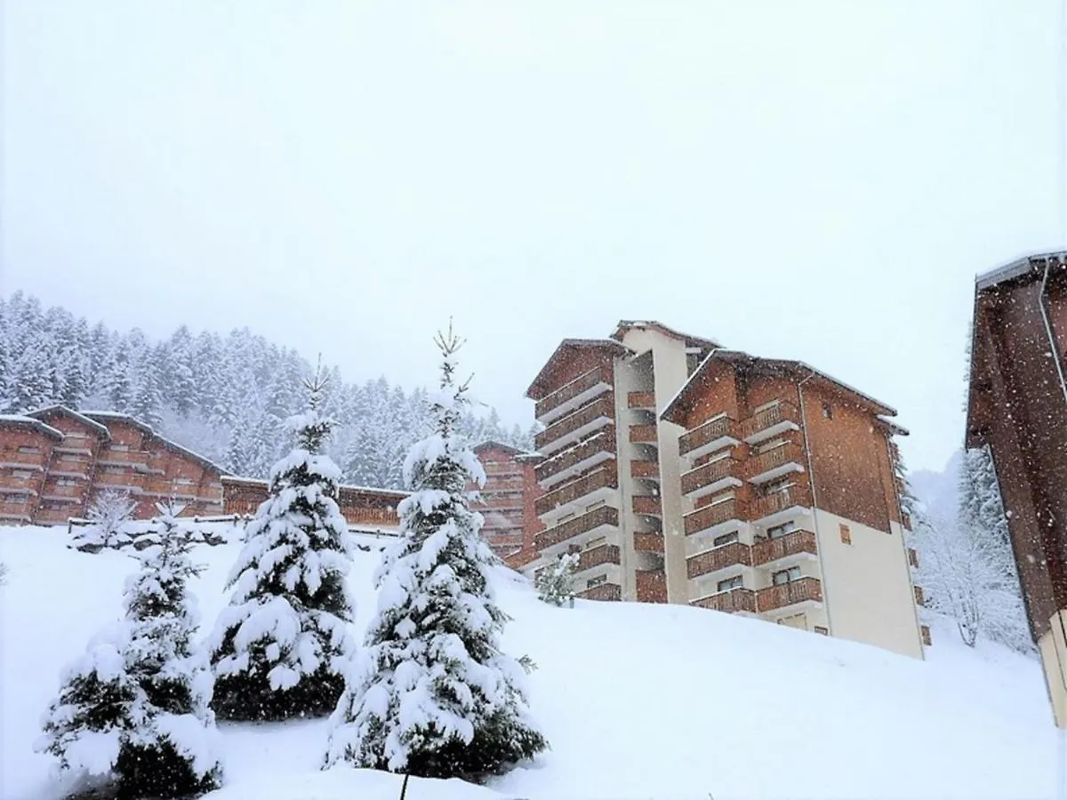 Location 2 Pieces Cabine Mezzanine A Saint-Jean-D'Aulps, Pied De Pistes, Parking, Animaux Admis - Fr-1-573-29